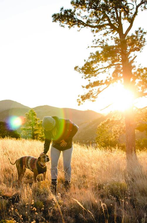 A woman and her dog on a sunny meadow with mountains in the background.