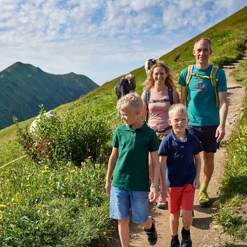 Eine Familie wandert im Sommer auf einem grün bewachsenen Berghang.